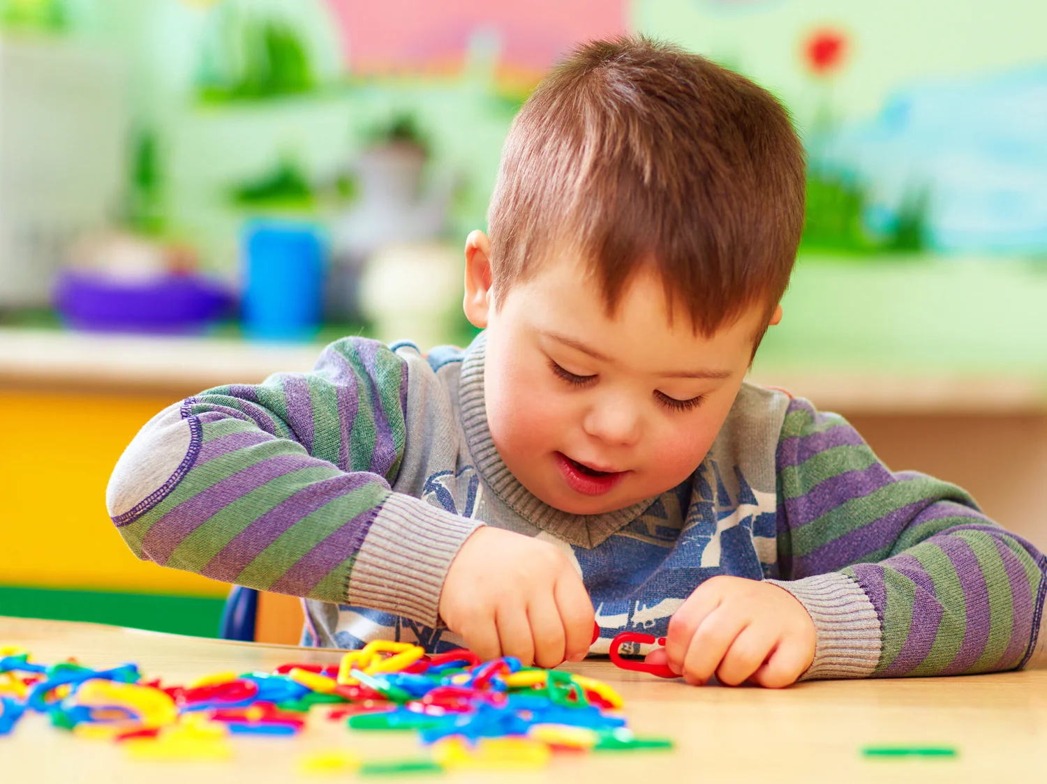 Programme éducatif